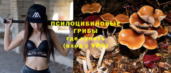 гидра Волосово