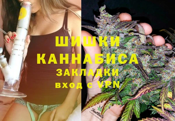 гидра Волосово