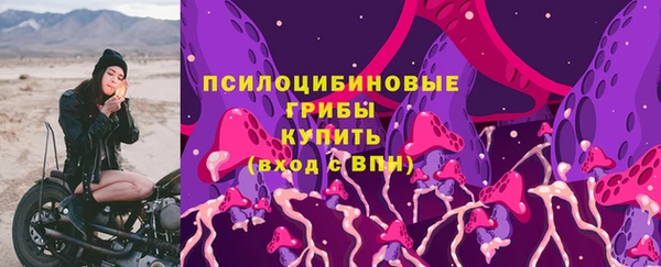 гидра Волосово