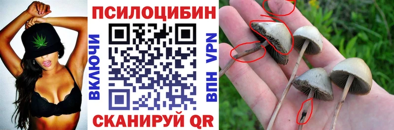 Псилоцибиновые грибы Magic Shrooms Качканар